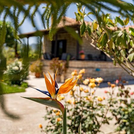Varta Village - Elea House Kalipádo Kültér fotó