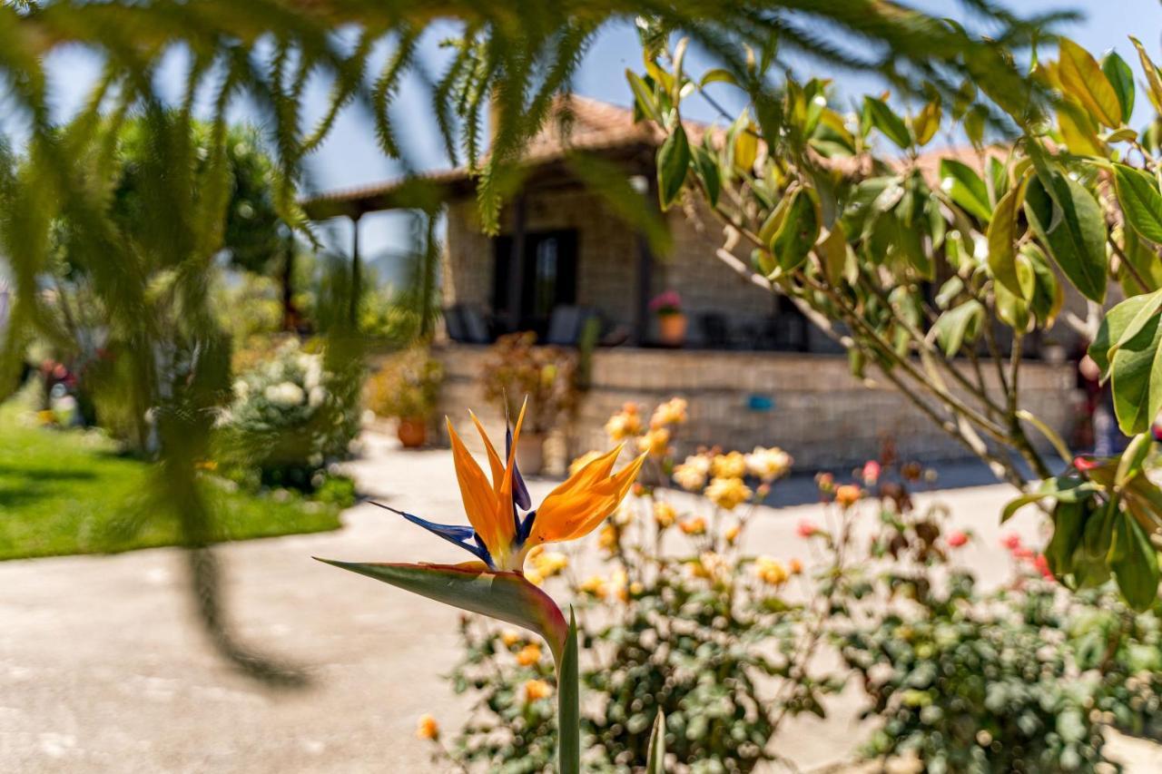 Varta Village - Elea House Kalipádo Kültér fotó