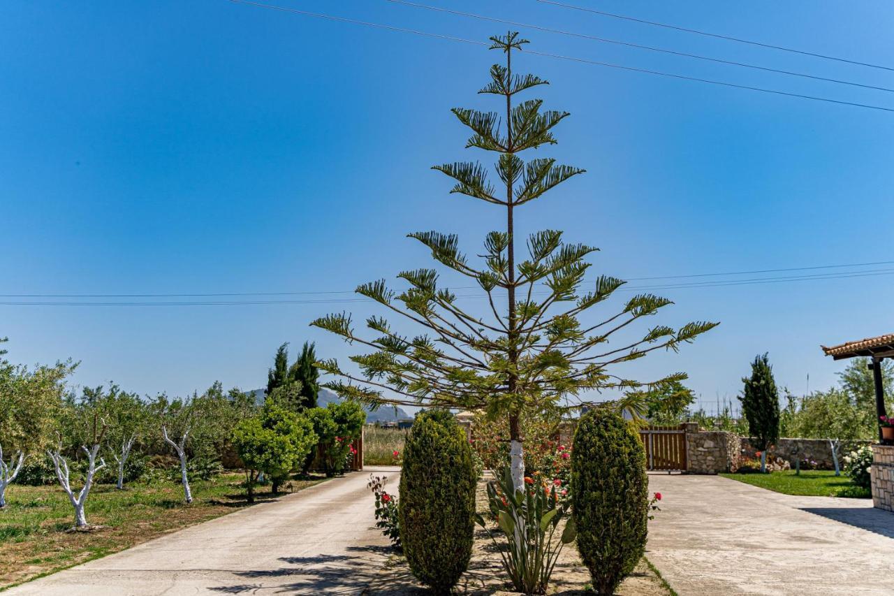 Varta Village - Elea House Kalipádo Kültér fotó